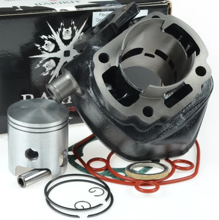BACIL754.JPG