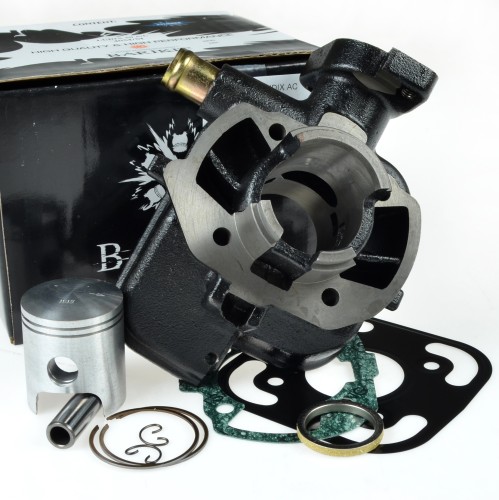 BACIL760.JPG