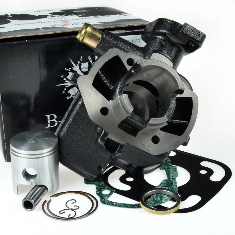 BACIL760.JPG