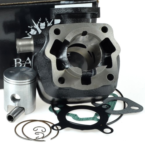 BACIL740.JPG