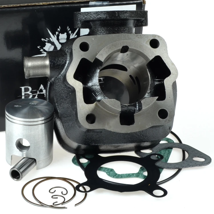 BACIL740.JPG