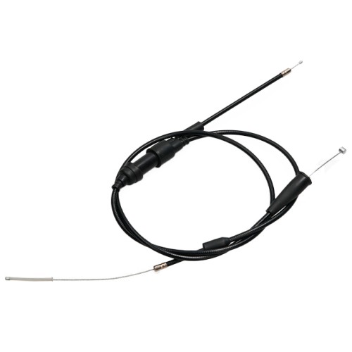 AP75TC10.0184.jpg