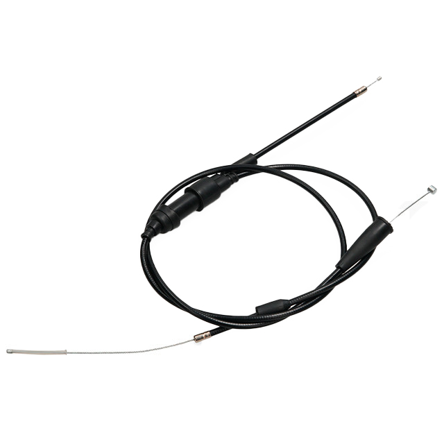 AP75TC10.0184.jpg