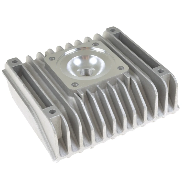 ZT1235.JPG