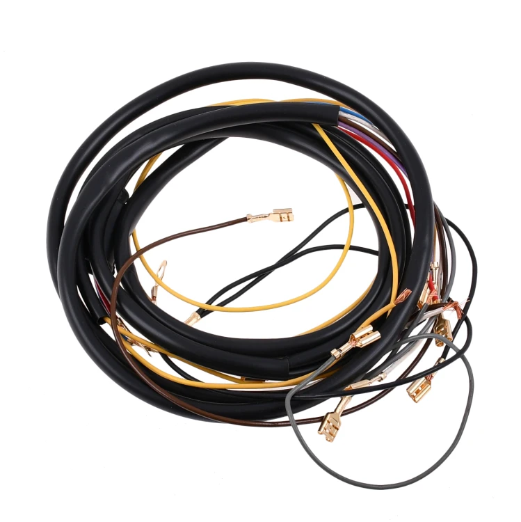 RO6505.JPG