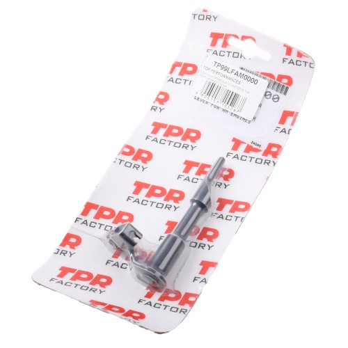 TP99LFAM0000.JPG