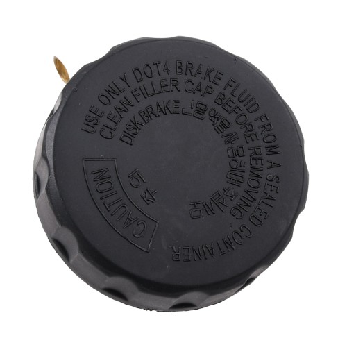 RF3135%20(2).JPG
