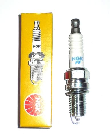 f483d8bf4d41c0c64dddaf5c991d88c1